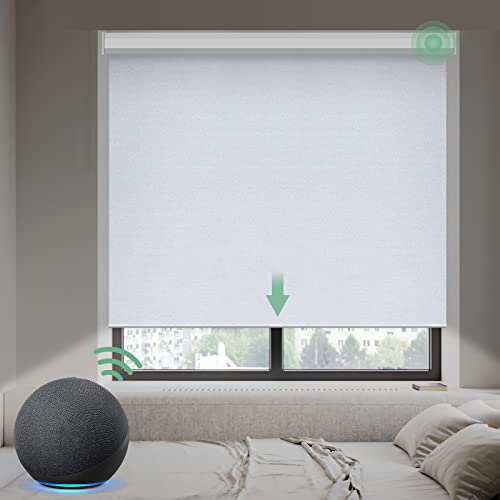 Customized Smart Window Electric Alex Tuya Quality Solar Window Roller Blinds