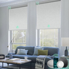 Smart Wifi Alex Tuya Quality Popular Motorized Smart Roller Blinds Electric Roller Smart Blinds