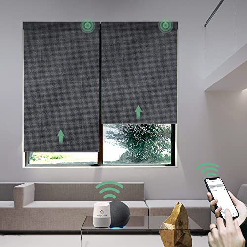 Tuya Smart Electric Window Roller Blinds Modern Home Applicable Horizontal Built-in Installation Wifi Enabled Motor Oriel