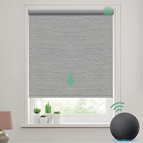 Xirui Electric Motorized Roller Blinds Hot Selling Home Balcony Remote Control System Built-in Installation